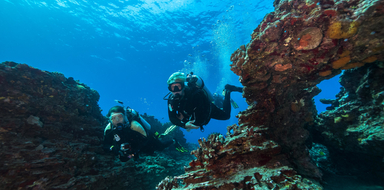 Reef Diving and Snorkeling Tour in Honolulu