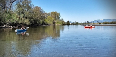Kayak, SUP or Canoe Trip in Mount Vernon