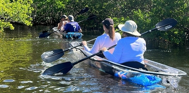 Clear Kayak Tour in Robinson Preserve