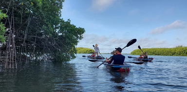 Clear Kayak Tour in Shell Key Preserve