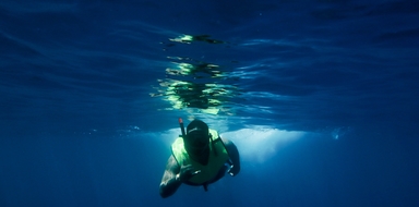 snorkeling with marine life hawaii