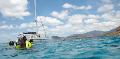snorkeling with marine life in hawaii