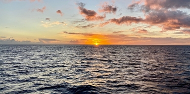 Sunset Catamaran Cruise in Waikiki