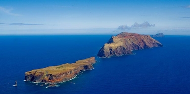 Cover for Boat tour to Desertas Islands in Madeira
