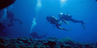 Cover for Scuba Diving in Santorini - 2 dives