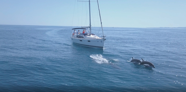 Cover for Private sailing charter in Benalmádena