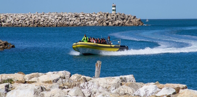 Coastal boat tour in Nazaré Cover
