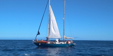 Cover for Sailing tour with whales and dolphins in La Gomera