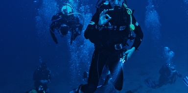 Deep Diving in Arrabida Natural Park