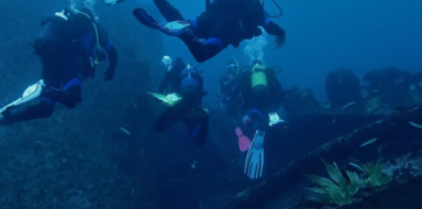 Wreck Diving in Arrabida Natural Park