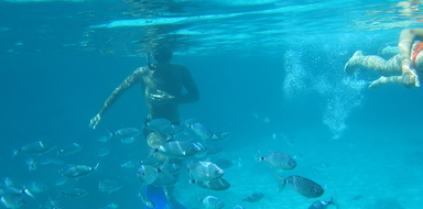 Cover for boat trip with snorkeling in Formentera