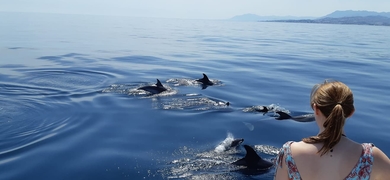 Dolphin Watching Yacht Cruise in Fuengirola