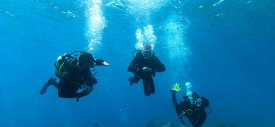 scuba diving tenerife