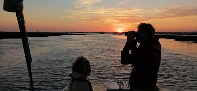 Sunset tour in Ria Formosa