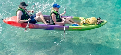 Clear-bottom kayak rental in Kailua-Kona