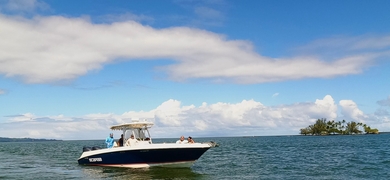 Private Boat Tour in Hilo