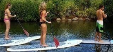 SUP and Turtle Tour in Haleiwa