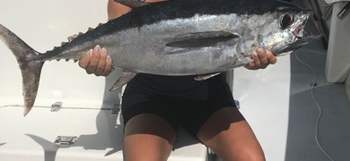 Group Fishing Tour in Fort Lauderdale