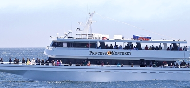 Valentine's Bay Cruise in Monterey