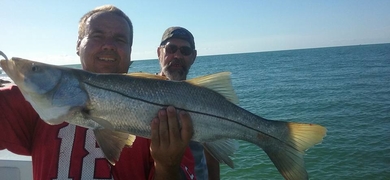 Half Day Fishing Charter in Key West