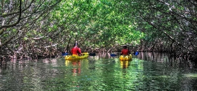 Hike and Kayak Tour in Puerto Rico