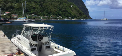 Private West Coast Tour from Rodney Bay