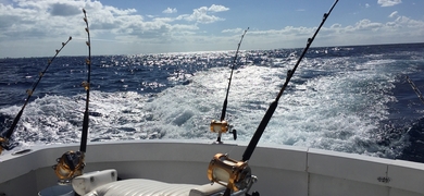 Private Half Day Deep Fishing in Providenciales