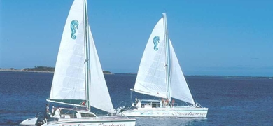 Sailing and Snorkeling Tour in Nassau