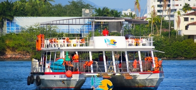 Whale Watching Tour in Jalisco