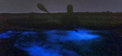 Bioluminescence Kayak Tour in Orlando