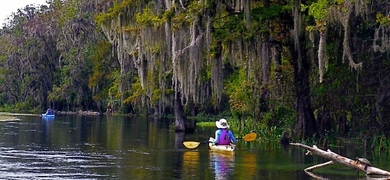 Adventures Kayak Tour in Orlando