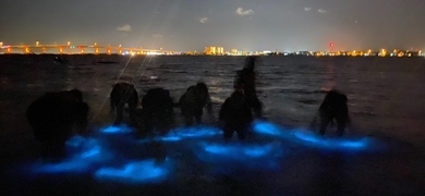 Private Bioluminescence Kayak Tour in Orlando