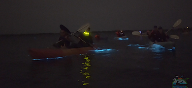 Bioluminescence Clear Kayaking Cruise in Titusville