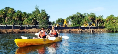 Dolphin Kayak Tour in Titusville