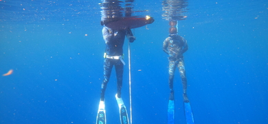Open Water Freedive Training in Riviera Beach