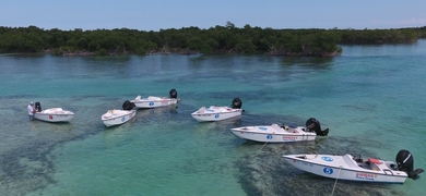 Safari Boat Tour in Key West