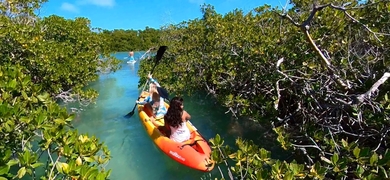 Group Paddle Tour in Key West