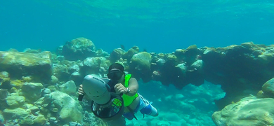 Snorkeling Tour in St. Lucia