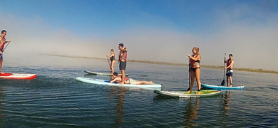 Team Building on a SUP in Ria Formosa