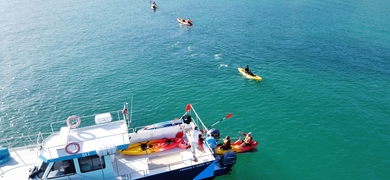 Kayak Tour from Marina de Lagos