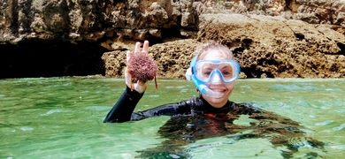 Snorkeling Around Arrábida