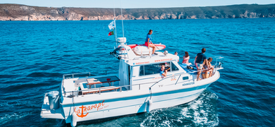 Dolphin Watching Tour in Sesimbra