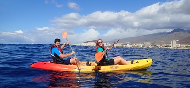 Kayak tour  in Tenerife