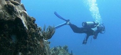 Scuba Diver Certification in St. Thomas
