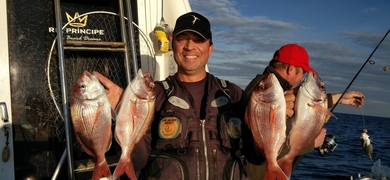 Cover for Full day fishing tour in Aveiro