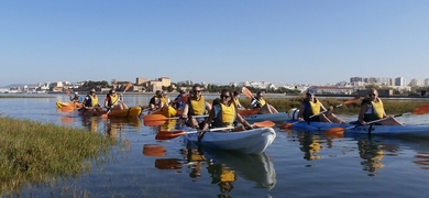 Cover for Kayaking in Faro to Ria Formosa