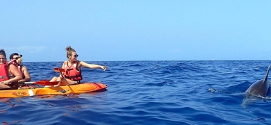 Cover for Kayak tour with dolphins in Tenerife