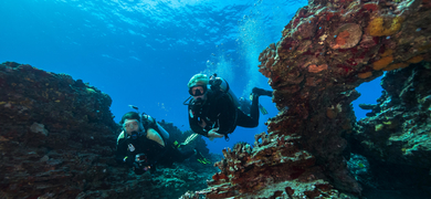 Reef Diving and Snorkeling Tour in Honolulu
