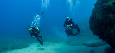 Cover for Scuba diving in Tenerife