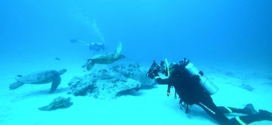 diving trip hawaii
